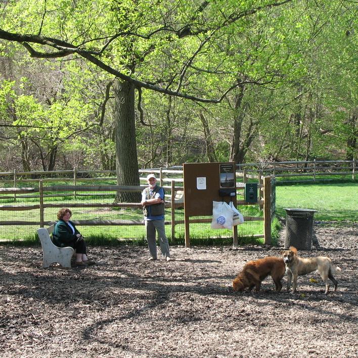 Pet Friendly Curtis Dog Park at Curtis Arboretum