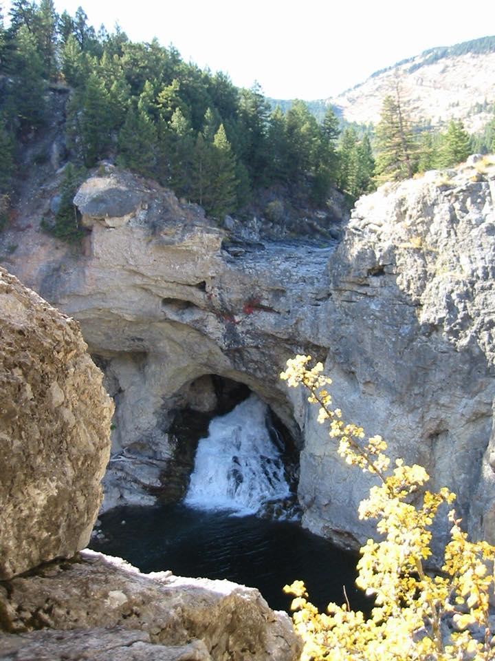 Pet Friendly Natural Bridge Falls Picnic Area
