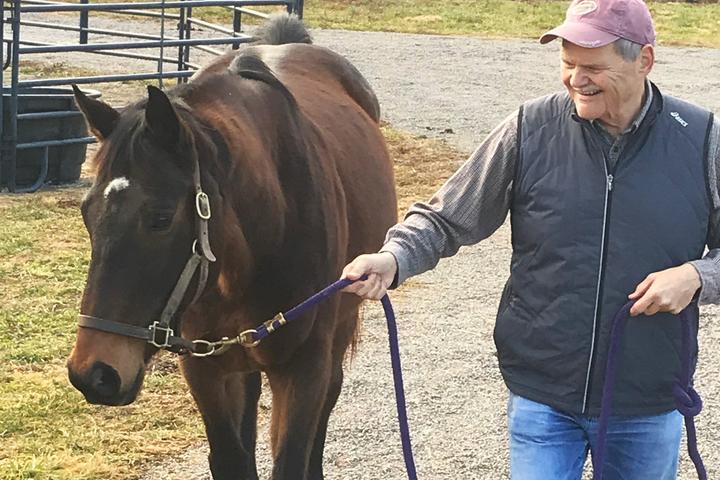 Pet Friendly Get Acquainted with Retired Race Horses
