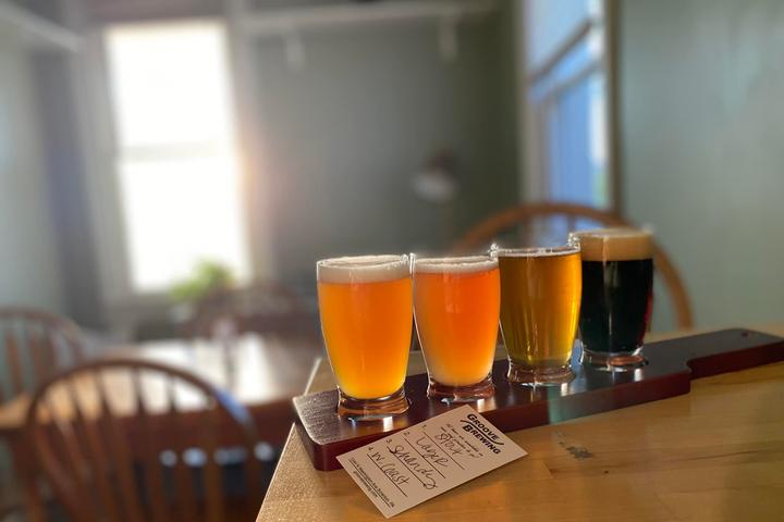 Pet Friendly Groove Brewing