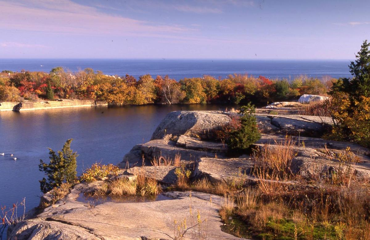 Halibut Point Reservation