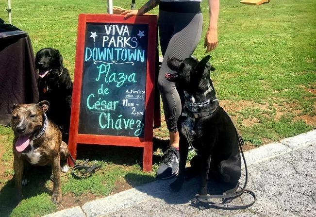 Pet Friendly Plaza de Cesar Chavez