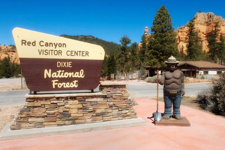 Pet Friendly Dixie National Forest