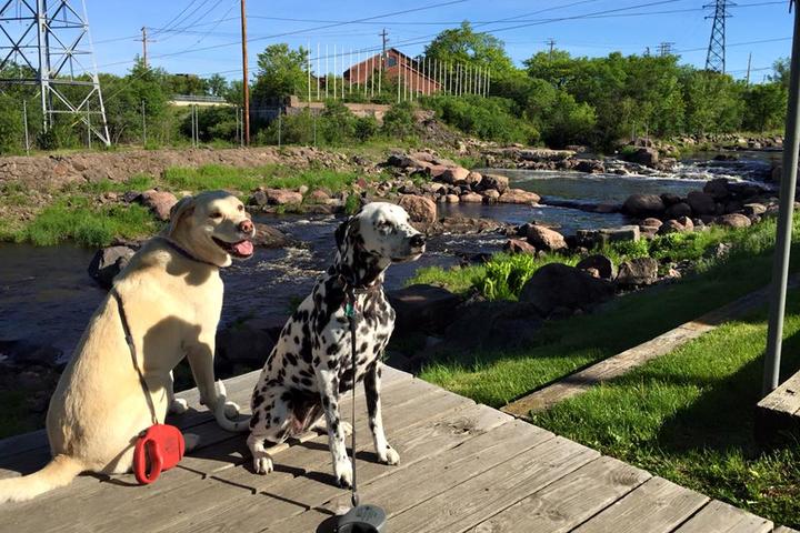 Pet Friendly Off-Leash Dog Area at Oak Island Park