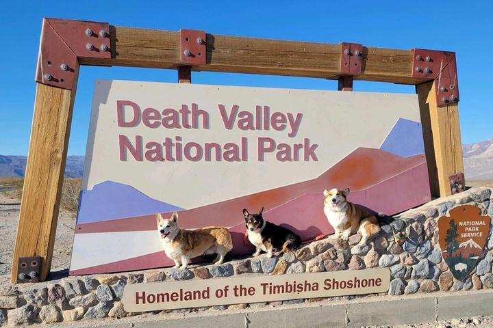 Pet Friendly Death Valley National Park