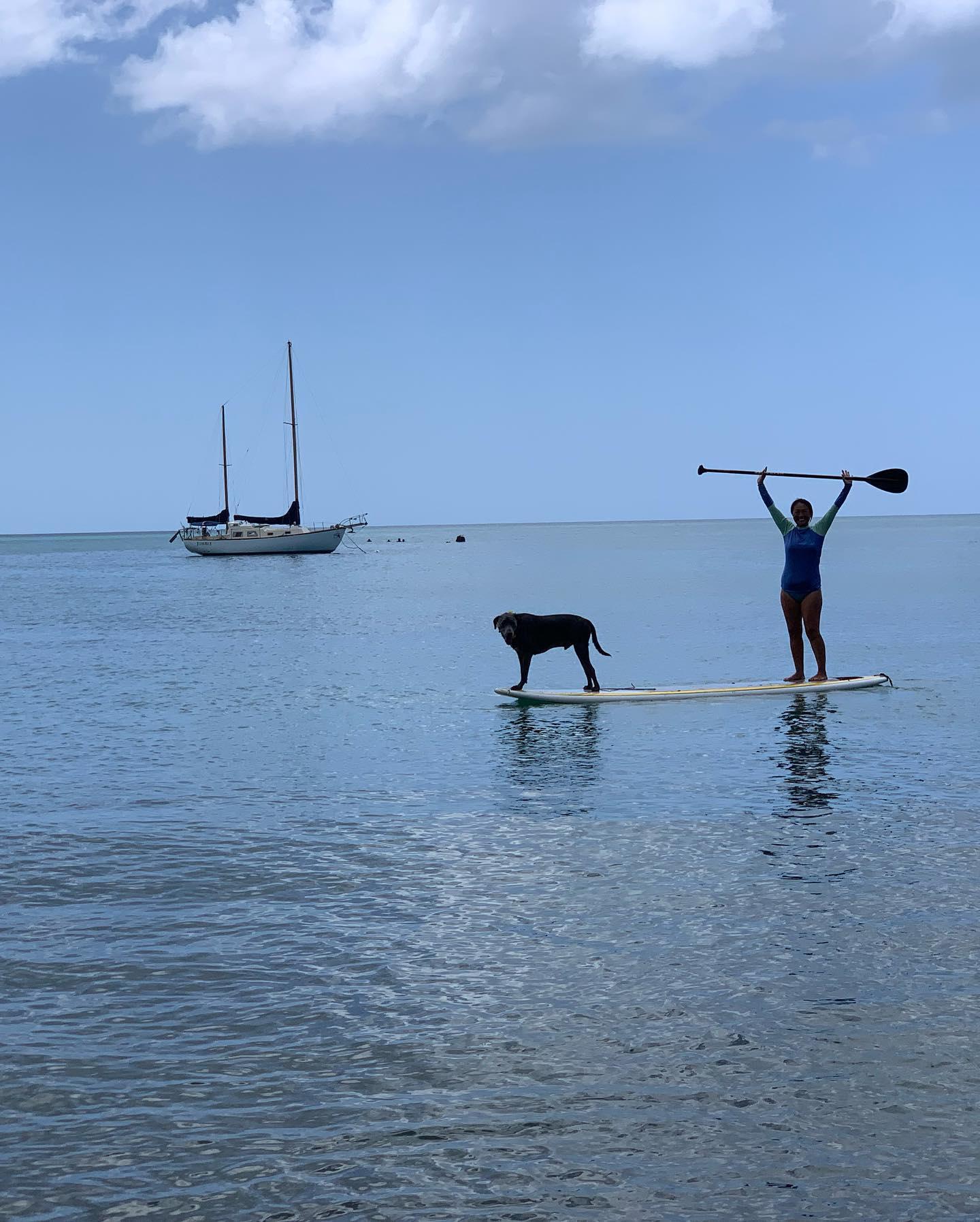 Pet Friendly Rincon Paddle Boards