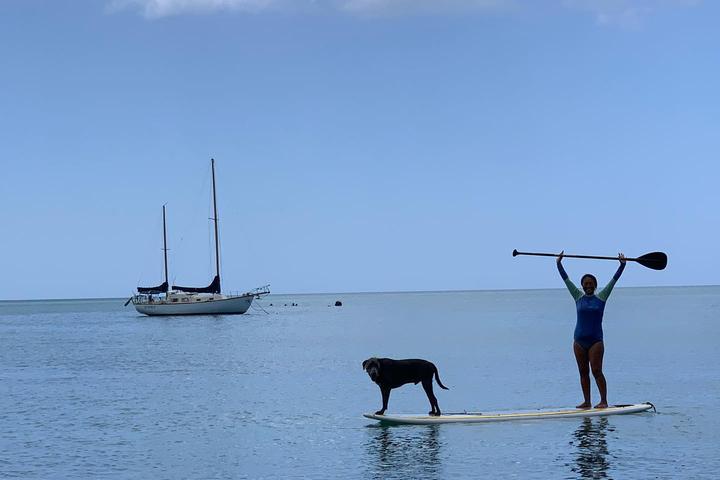 Pet Friendly Rincon Paddle Boards
