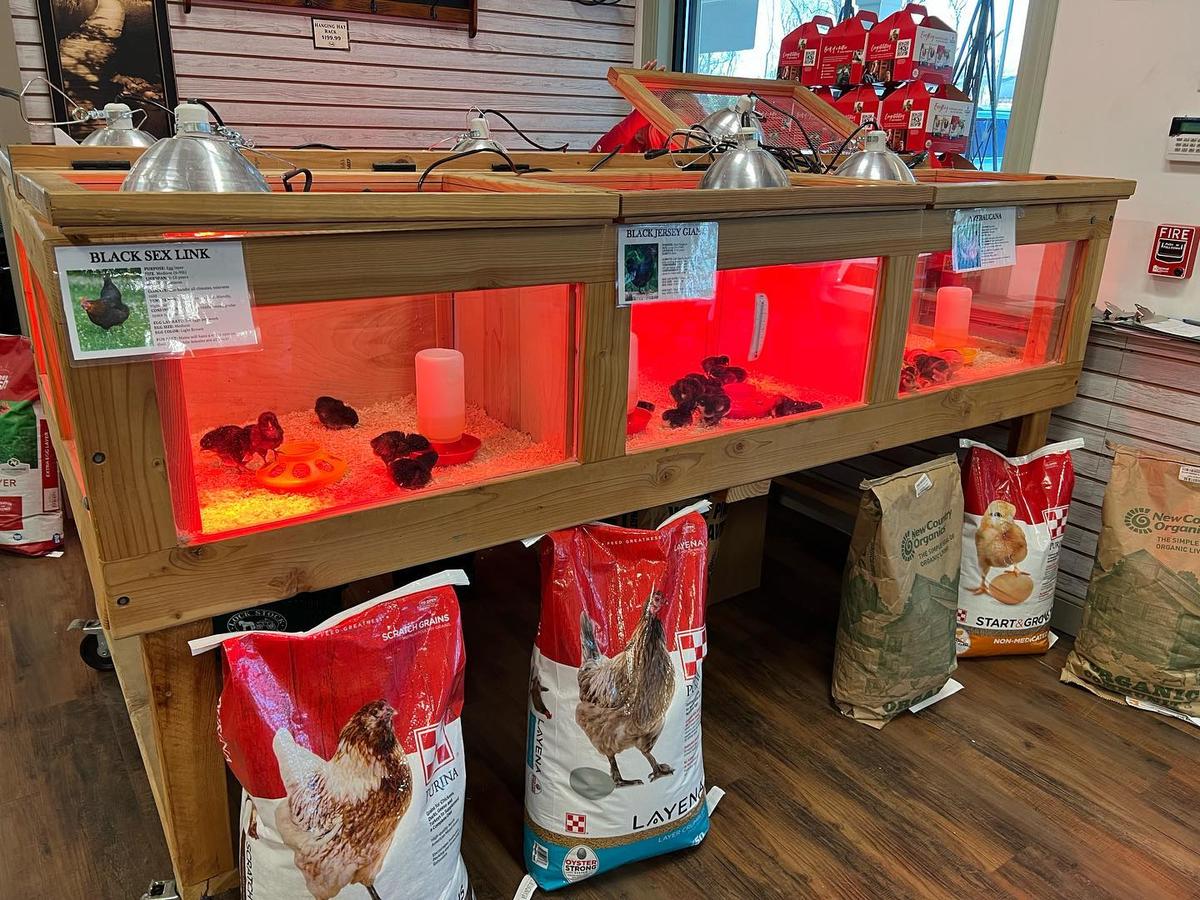 Dog Friendly Shopping in New Haven CT BringFido