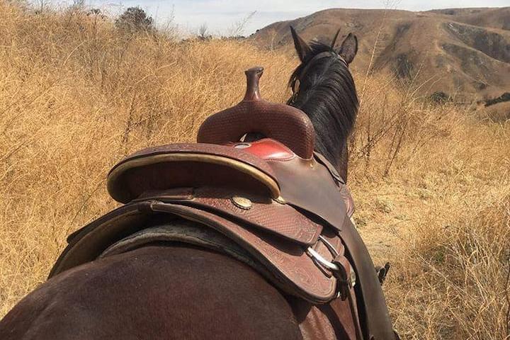 Pet Friendly Rock Hound Trail Ride to Ancient Site