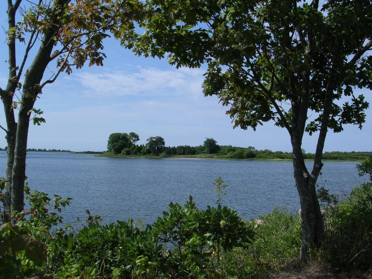 Bluff Point State Park Trail Map Bluff Point State Park