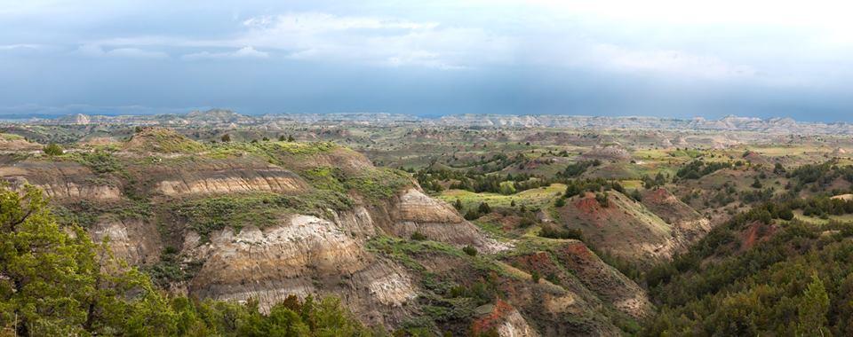 Are Dogs Allowed At Theodore Roosevelt National Park