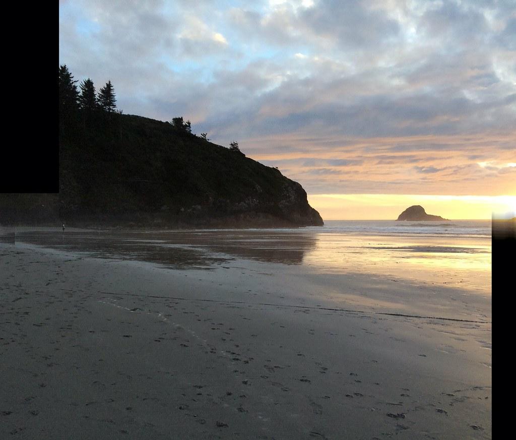 are dogs allowed at trinidad state beach