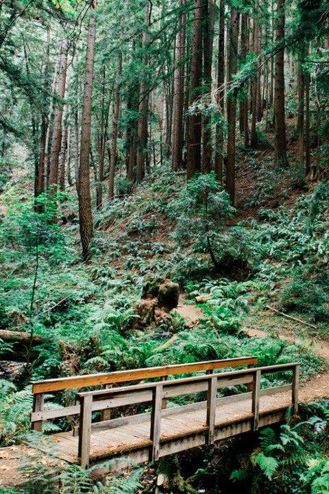 Hiking the Gem of Santa Cruz