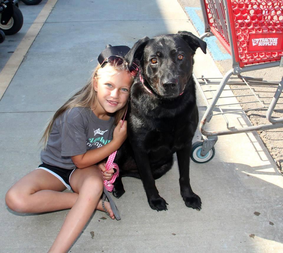 Dog Friendly Shopping in Northborough MA BringFido