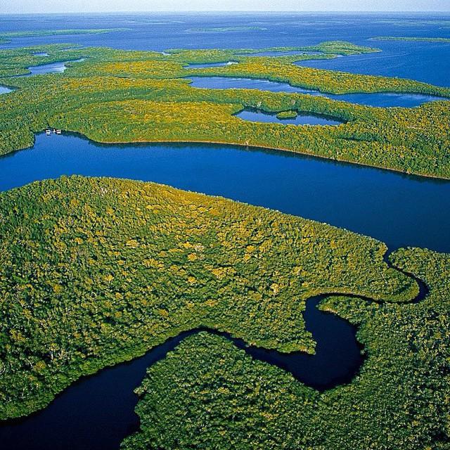 Pet Friendly Everglades National Park