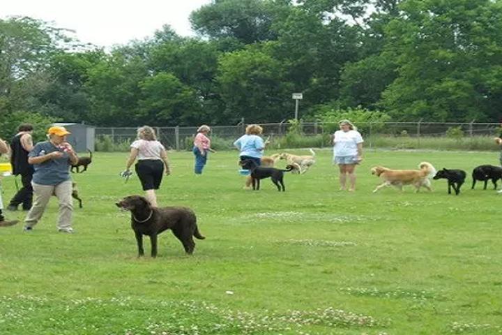 Pet Friendly Leash-Free Dog Park