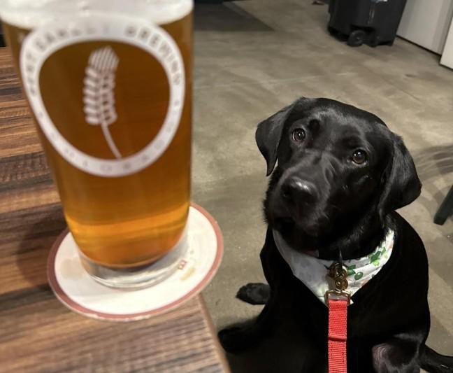 Pet Friendly Bent Barley Brewing Company