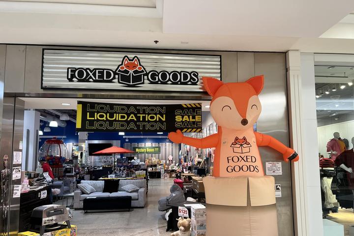 Pet Friendly Foxed Goods