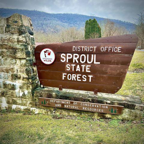 Pet Friendly ​Sproul State Forest