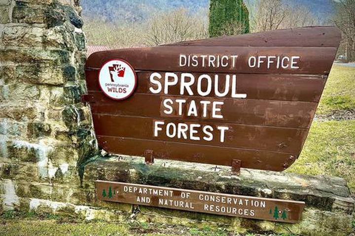 Pet Friendly ​Sproul State Forest