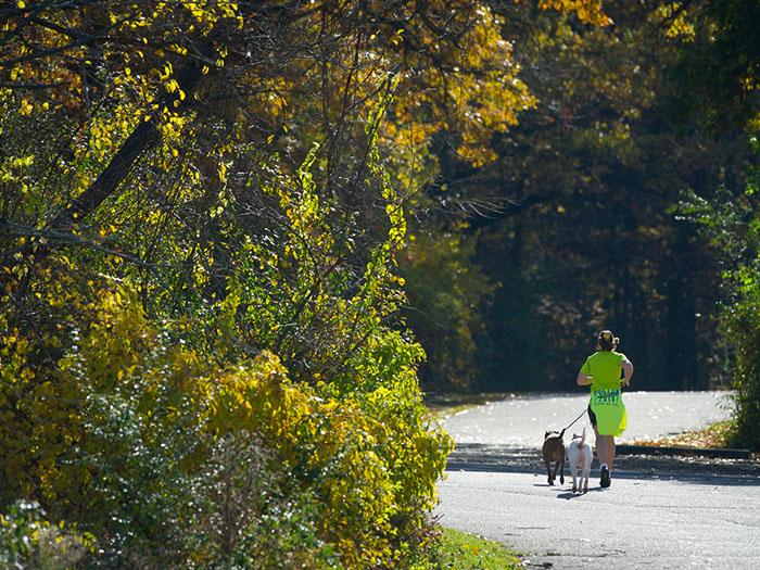Pet Friendly Holly Recreation Area