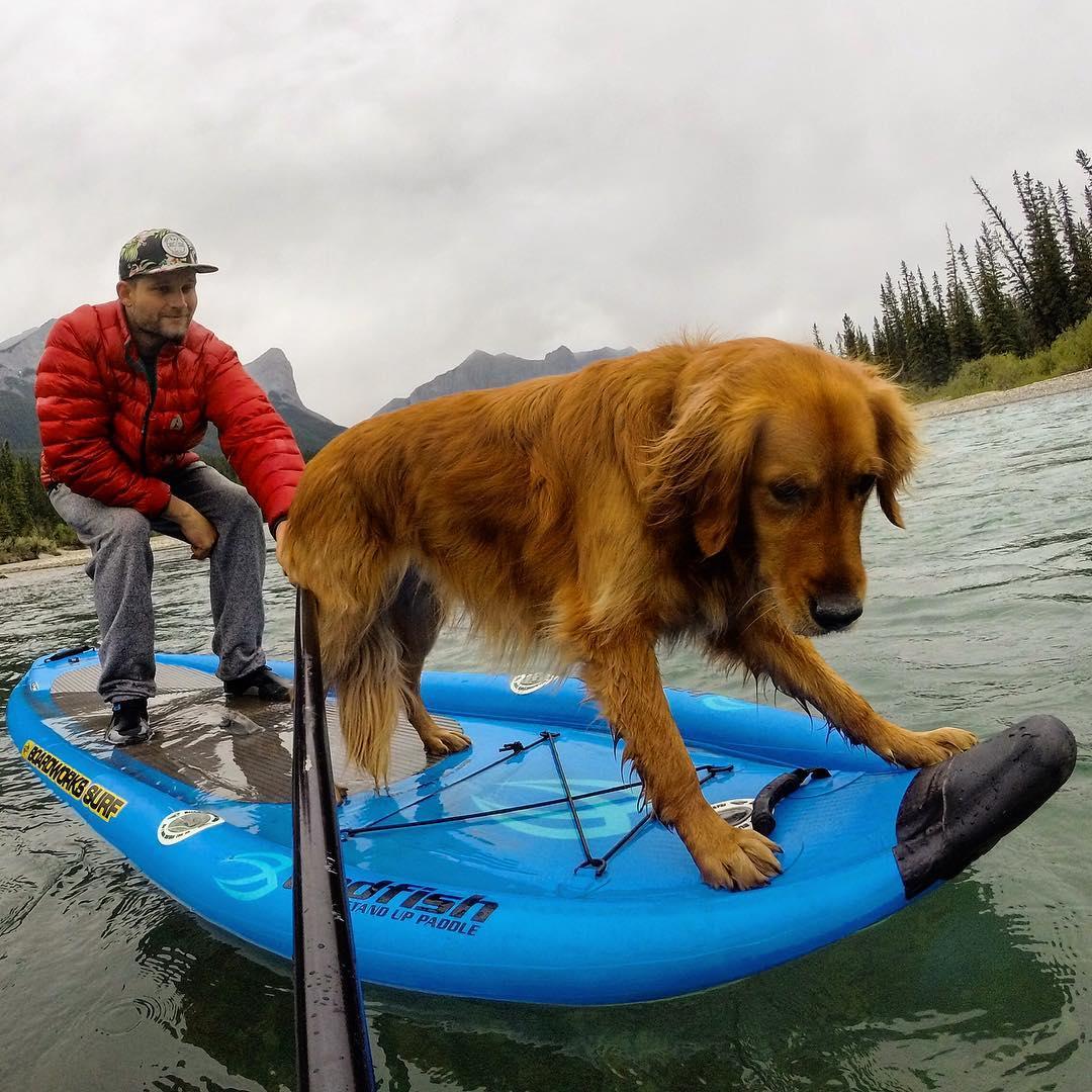 bow valley sup and surf