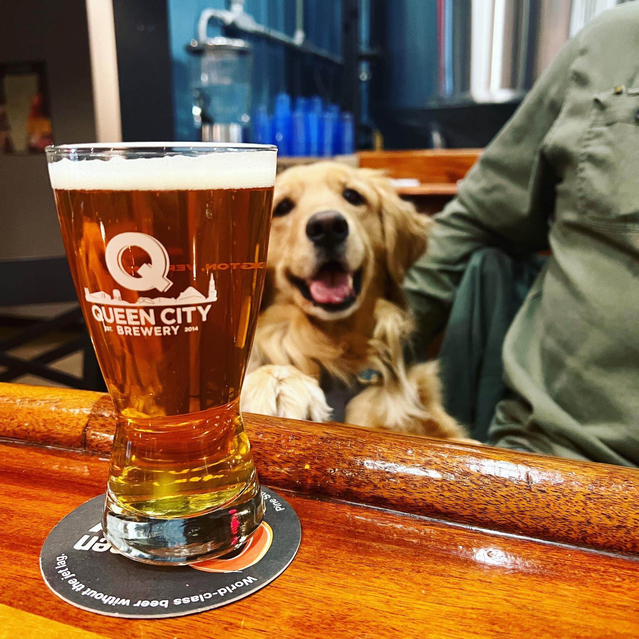 Pet Friendly Queen City Brewery