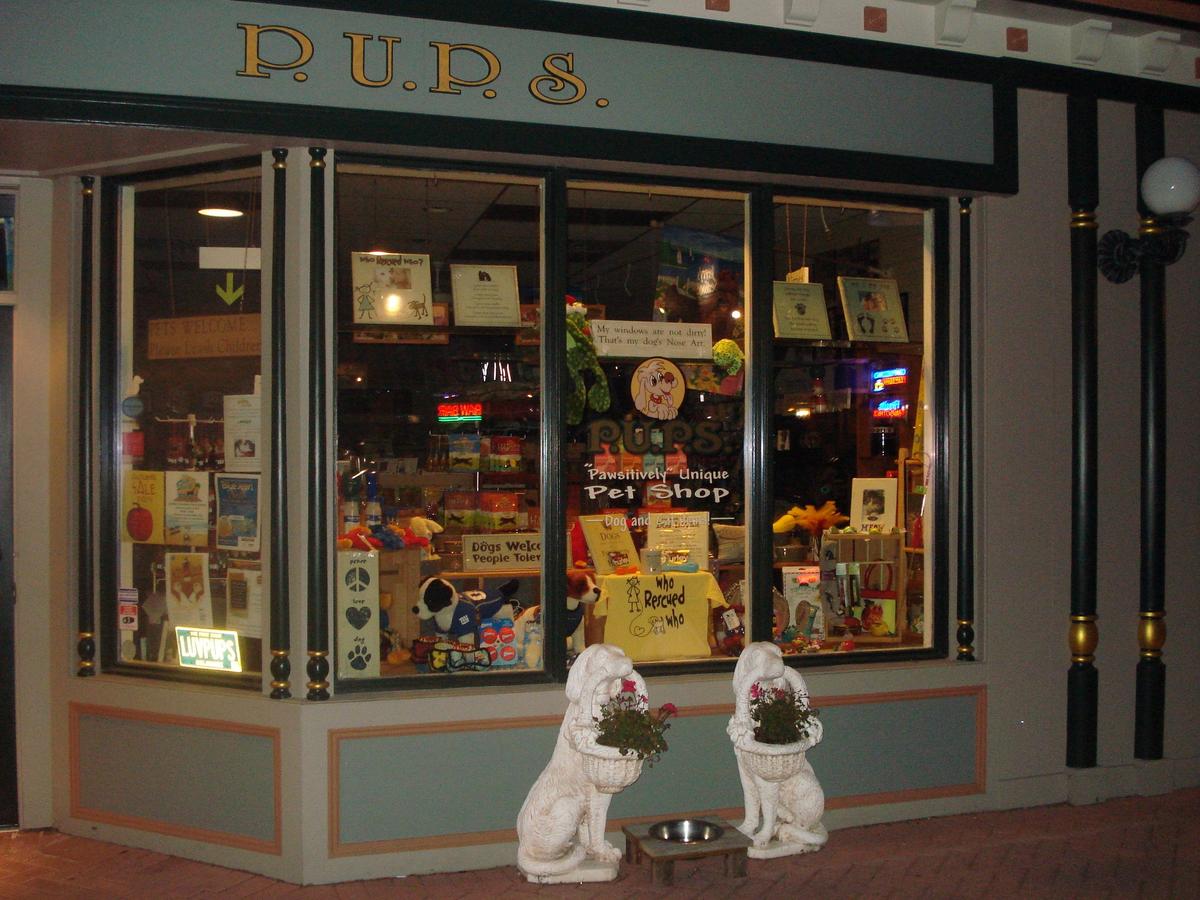 Directory of Pet Stores in Cape May NJ BringFido