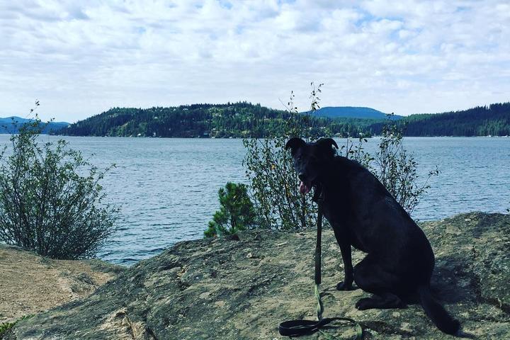 Name 5 dog friendly hikes in post falls, ID - gmedia