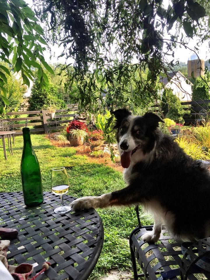 Pet Friendly Aspen Dale Winery at the Barn