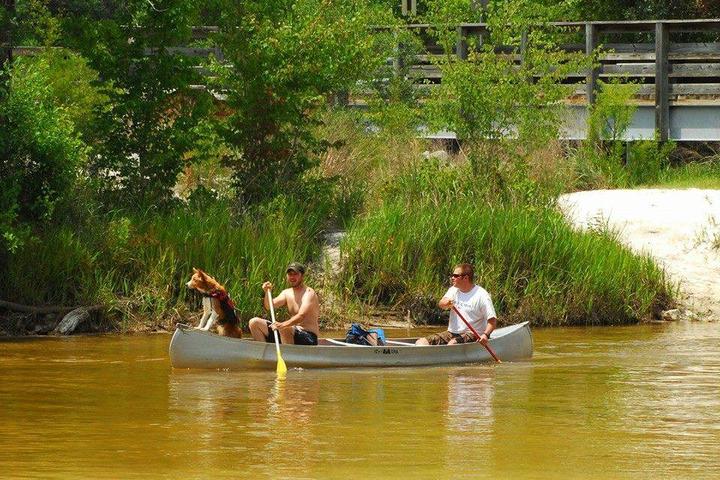 Pet Friendly Blackwater Canoe Rental