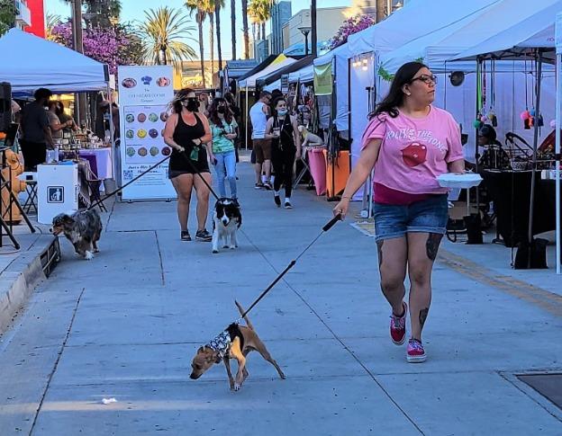 Dog friendly outlet shopping centre