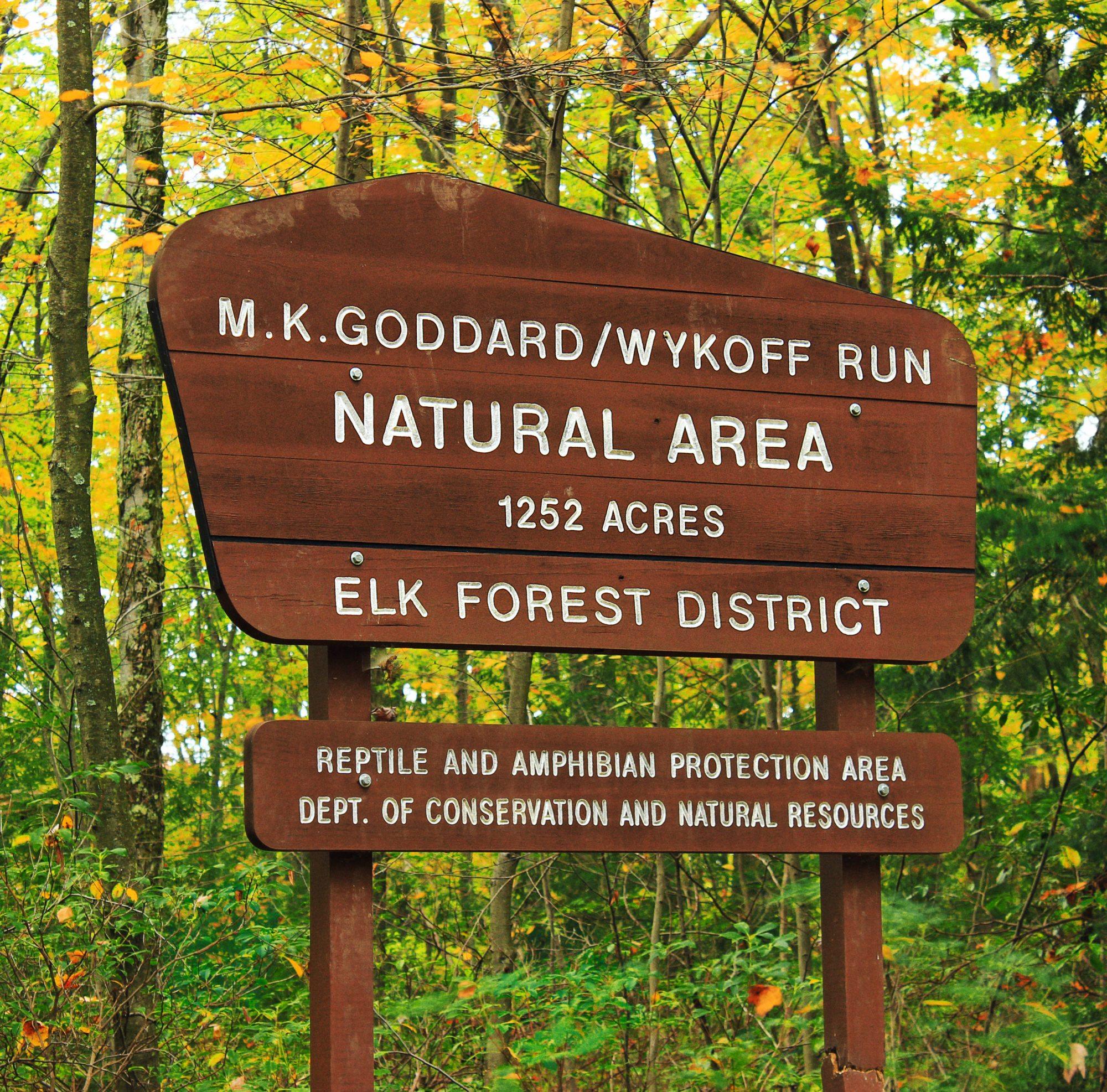 Pet Friendly Wykoff Run Natural Area