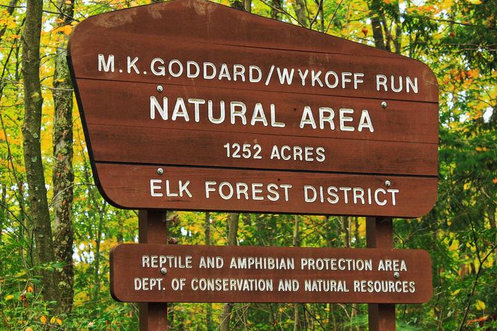 Pet Friendly Wykoff Run Natural Area