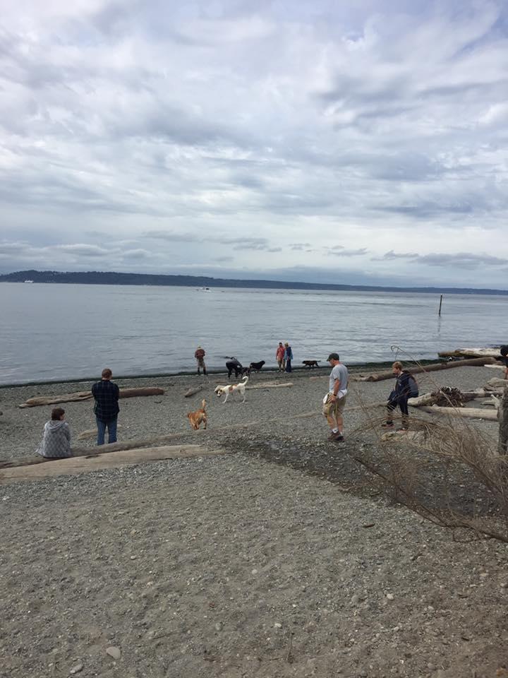 are dog allowed at edmonds parks