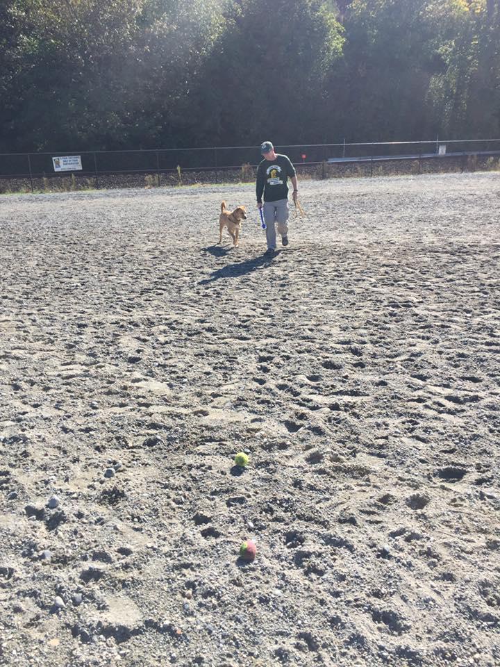 are dogs allowed at edmonds beach