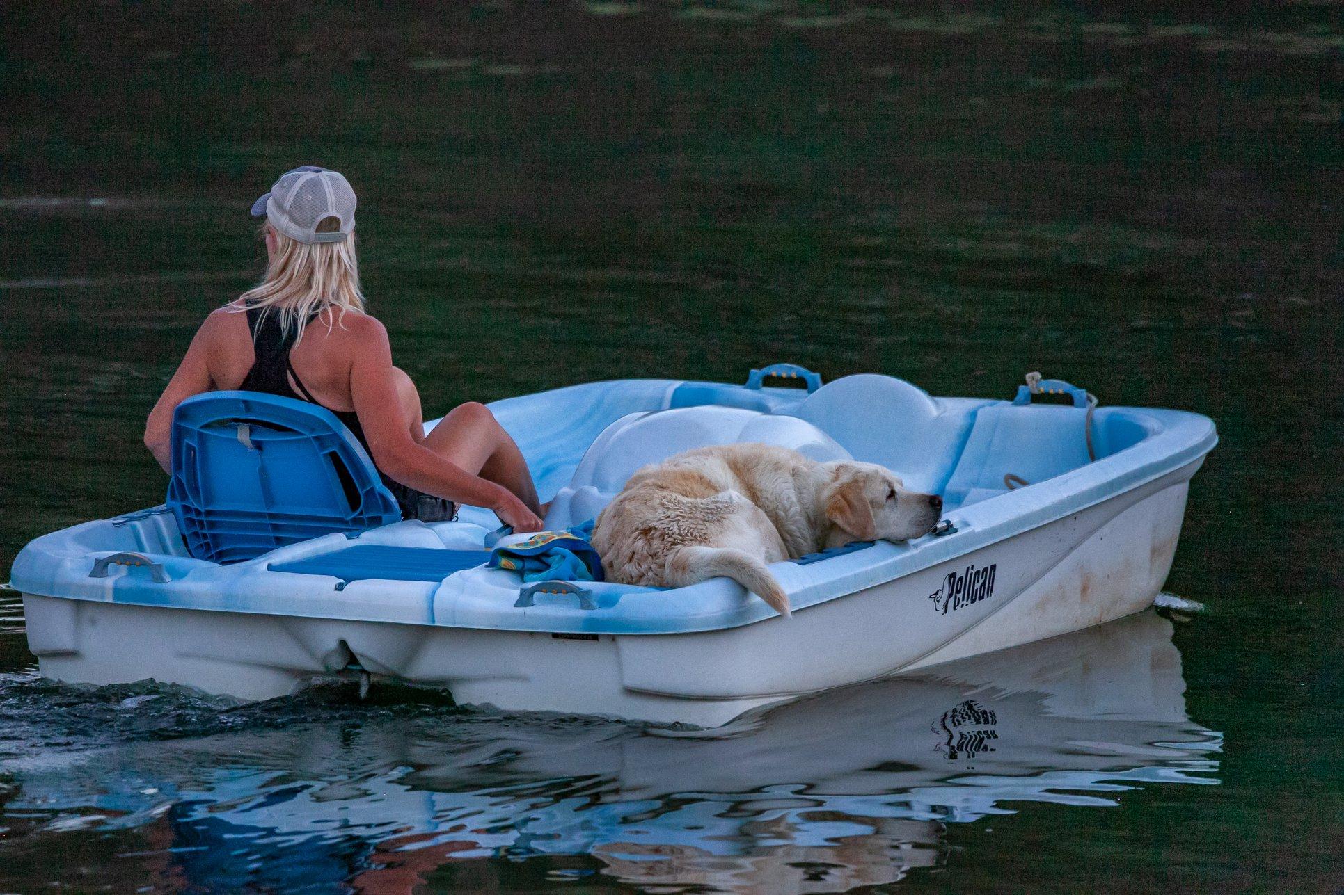 are dogs allowed at lake pedro