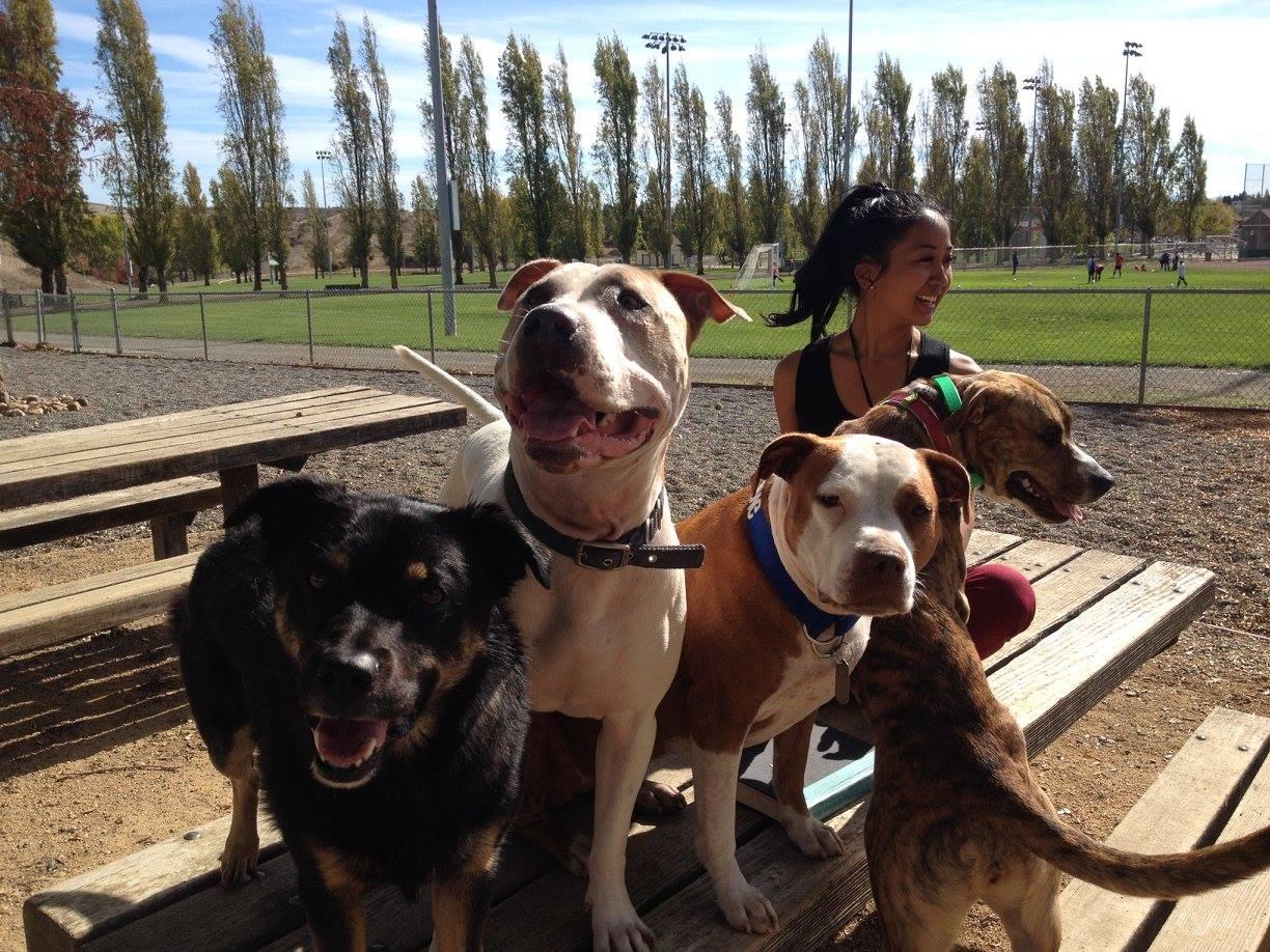 Pet Friendly Phenix Dog Park