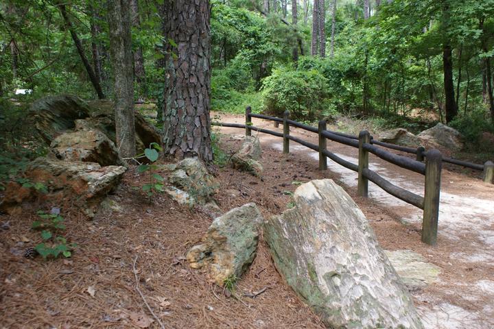 Pet Friendly Mississippi Petrified Forest