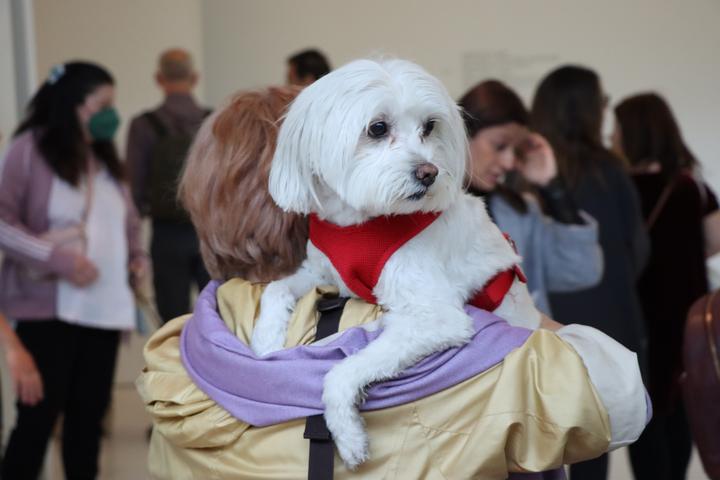Pet Friendly National Museum of Contemporary Art Αthens (ΕΜΣΤ)
