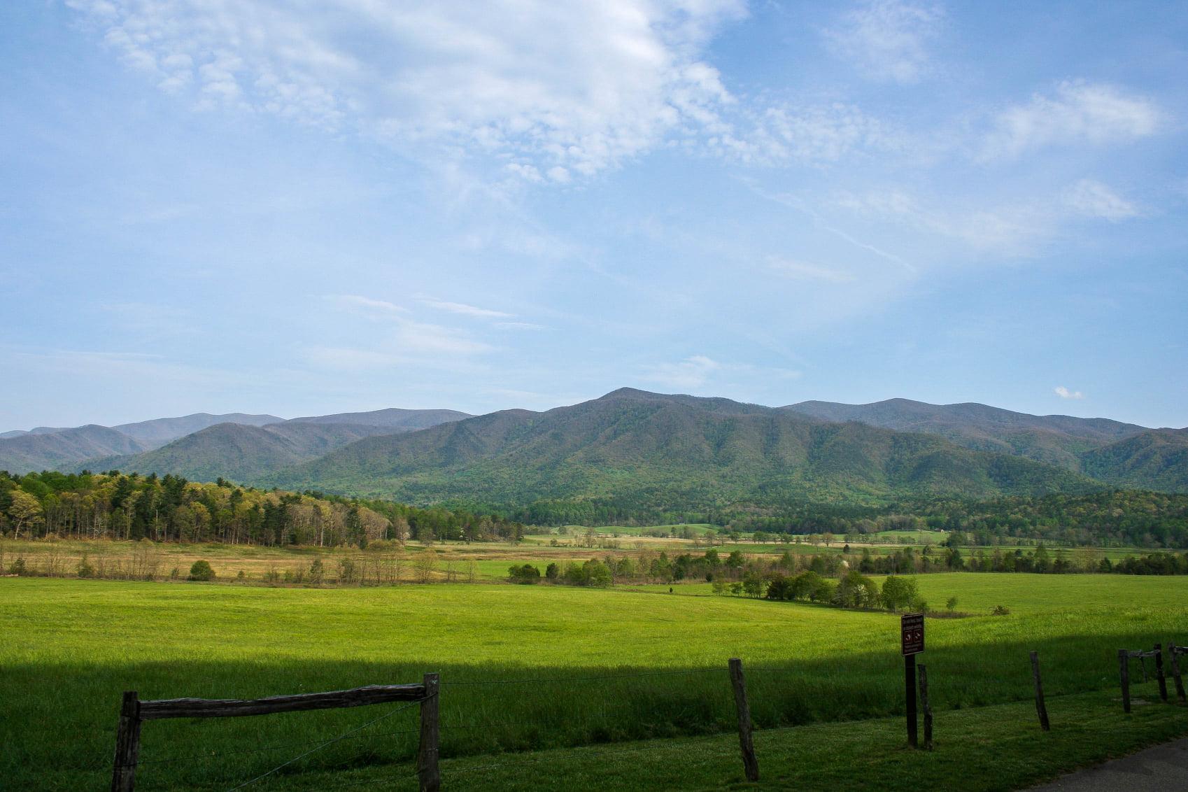 are dogs allowed in cades cove