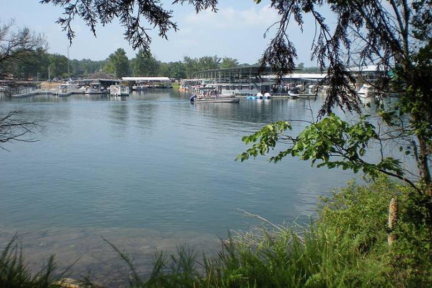 Are Dogs Allowed At Table Rock State Park are-dogs-allowed-at-table-rock-state-park