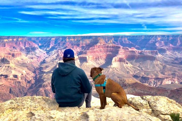 Pet Friendly Grand Canyon National Park