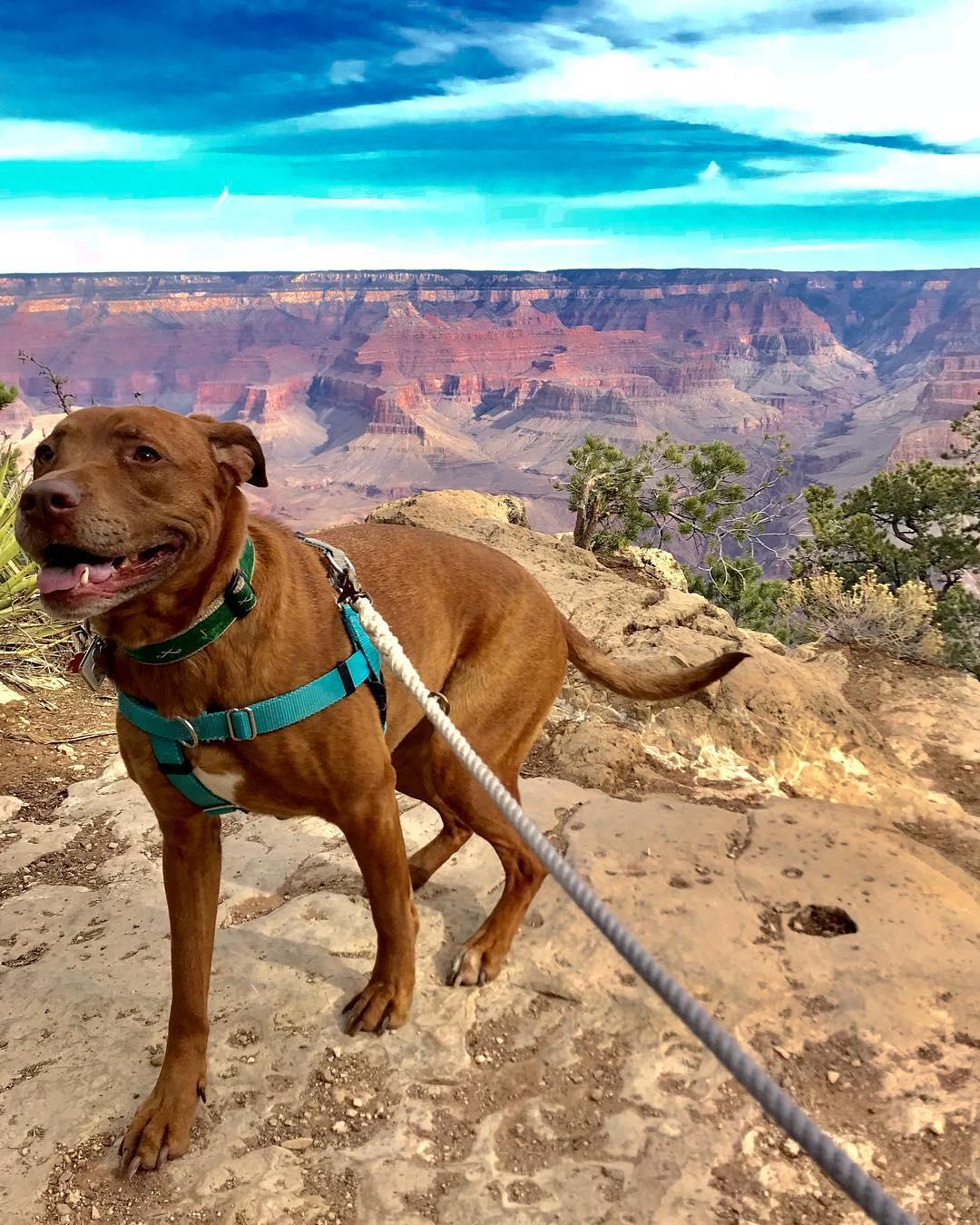 Grand Canyon National Park