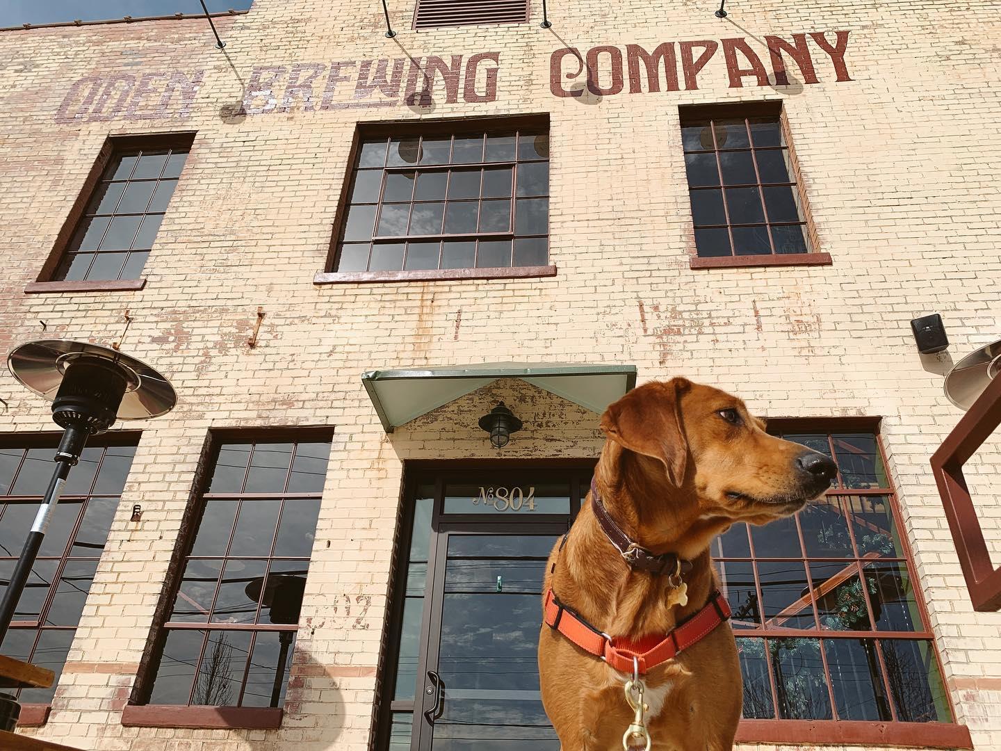 Pet Friendly Oden Brewing Company