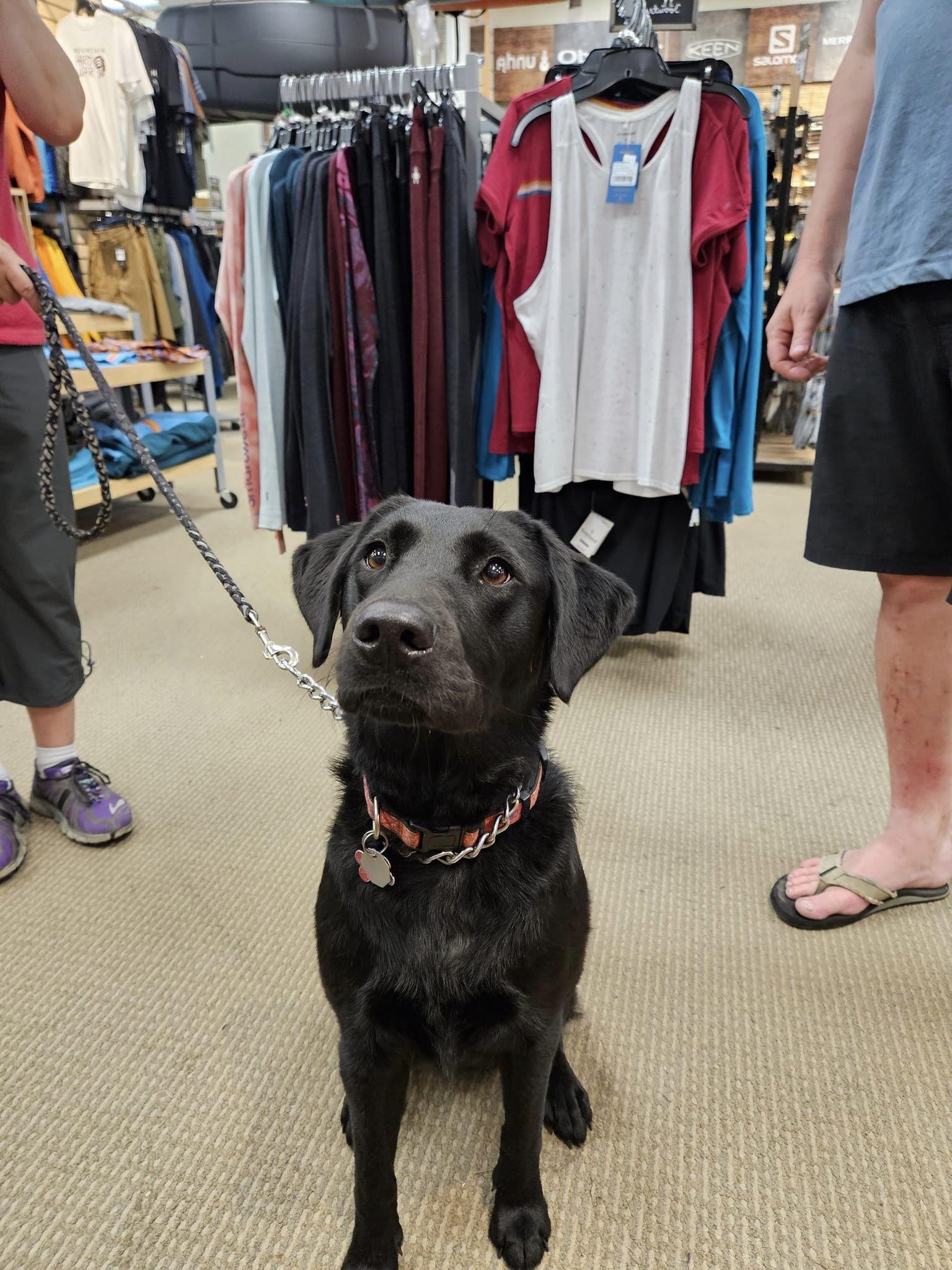 Pet Friendly Eastern Mountain Sports