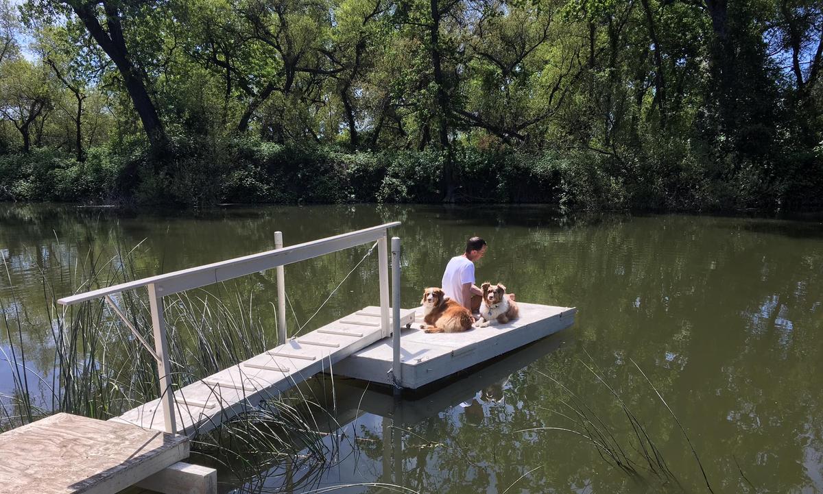 are dogs allowed at clear lake state park