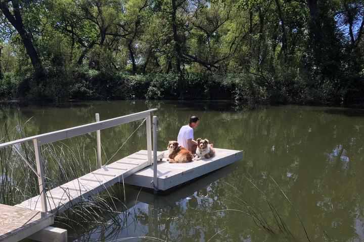 Pet Friendly Clear Lake State Park