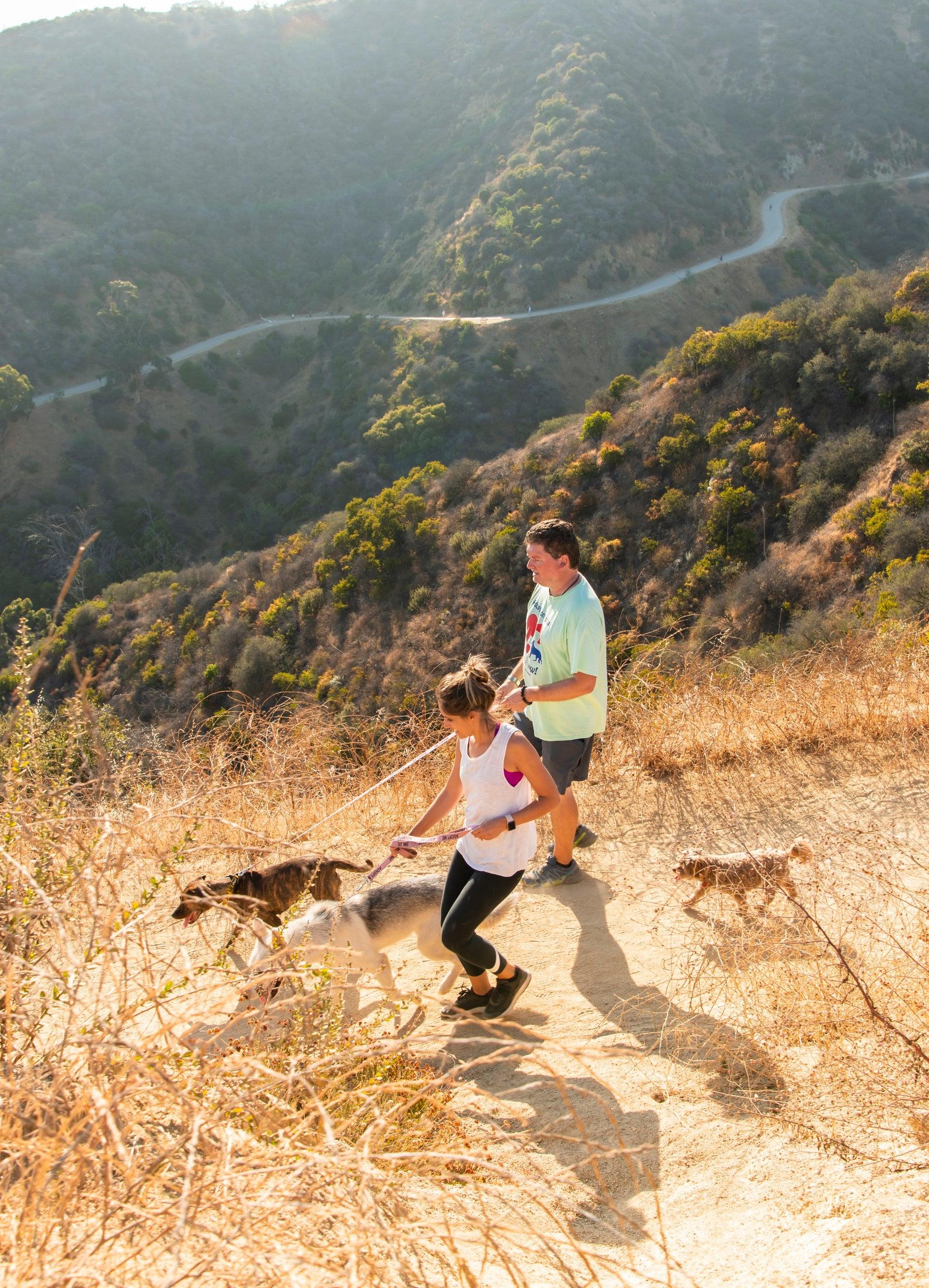 Pet Friendly Hike Runyon Canyon with a Rescue Dog