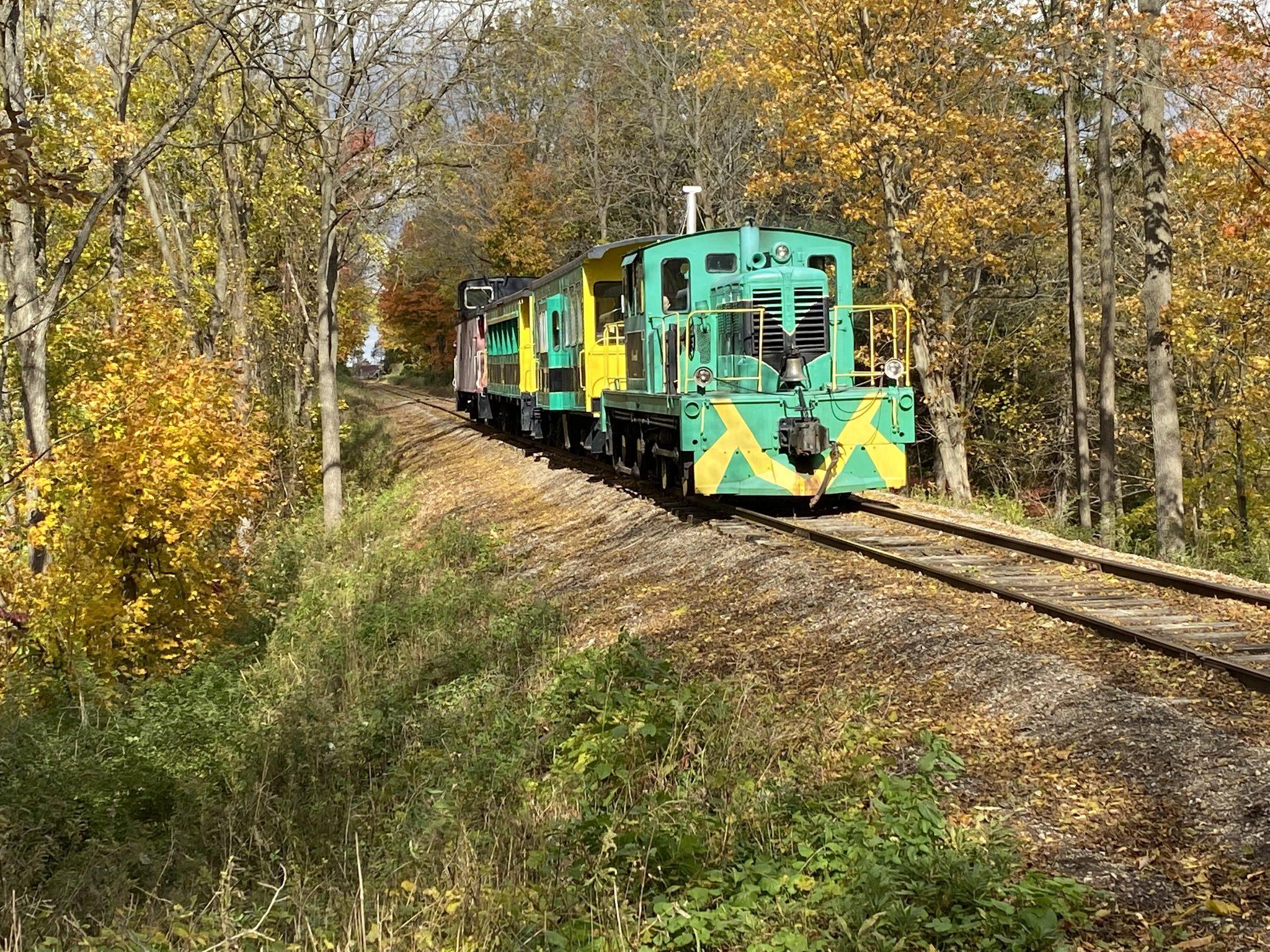 Pet Friendly Port Stanley Terminal Rail